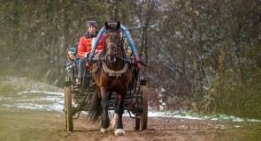 Владимирский тракт. Иностранцы в России