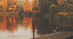 Журнал Путешественника: Осень