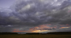 Закат. д. Степаново, Судогодский р-н.
