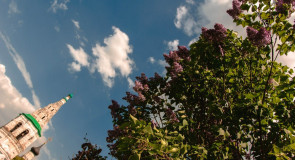 Кидекша. Сельские зарисовки