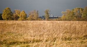 Клязьминская пойма 2015.10.09