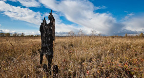 Клязьминская пойма 2015.10.09