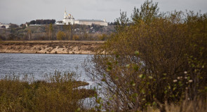 Клязьминская пойма (2015.10.07)