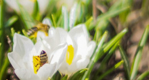 Красота вокруг нас, обернись!