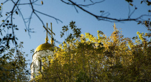 Купола Владимира горят на солнце золотом!