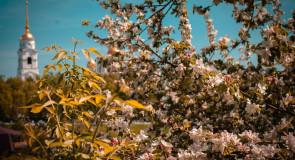 Летние красоты Владимира от Бориса Пучкова