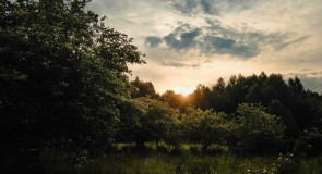 Лобаново, Гусь-Хрустальный район