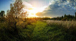 Меленковский пейзаж от Дмитрия Сдобина