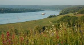 Меленковский район, д.Муратово, река Ока