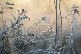 Морозное владимирское утро