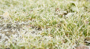 Морозное утро от Антона Блинкова