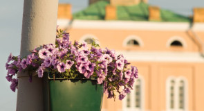 Муромские зарисовки от Александра Березина