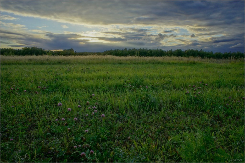 На закате у сенного поля (Суздальский район)