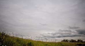 На природе близ Владимира