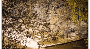 Наступление зимы во Владимире