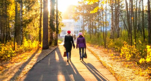 Одним осенним днем на Вербовском. 21.10.2015