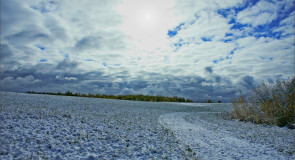 Октябрьским утром, после первого снега. (Суздальский район, 09.10.2015)