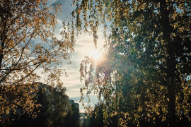 Осень в городе