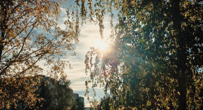 Осень в городе