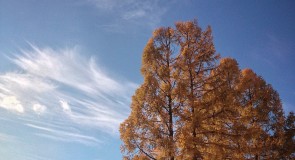Осень во Владимирской области