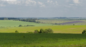 ПРЕКРАСНЫ ВСЁ ЖЕ РОДИНЫ ПРОСТОРЫ!
