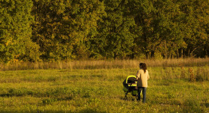 Парк Дружба во Владимире