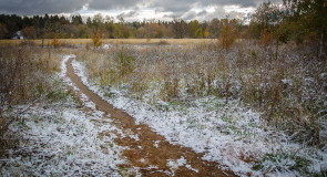 Первоснежный Муром