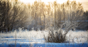 Первый снег в Муроме