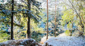 Первый снег на Вербовском