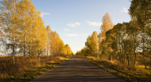 По дороге в с. Григорьево, Гусь-Хрустальный р-н