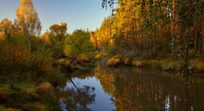 По осенней Шередари… Владимирская область