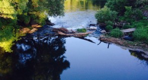 Природа Киржачского района