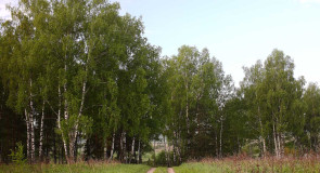 Природа Ковровского района от Павла Артюшина