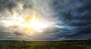 Природа Меленковского района