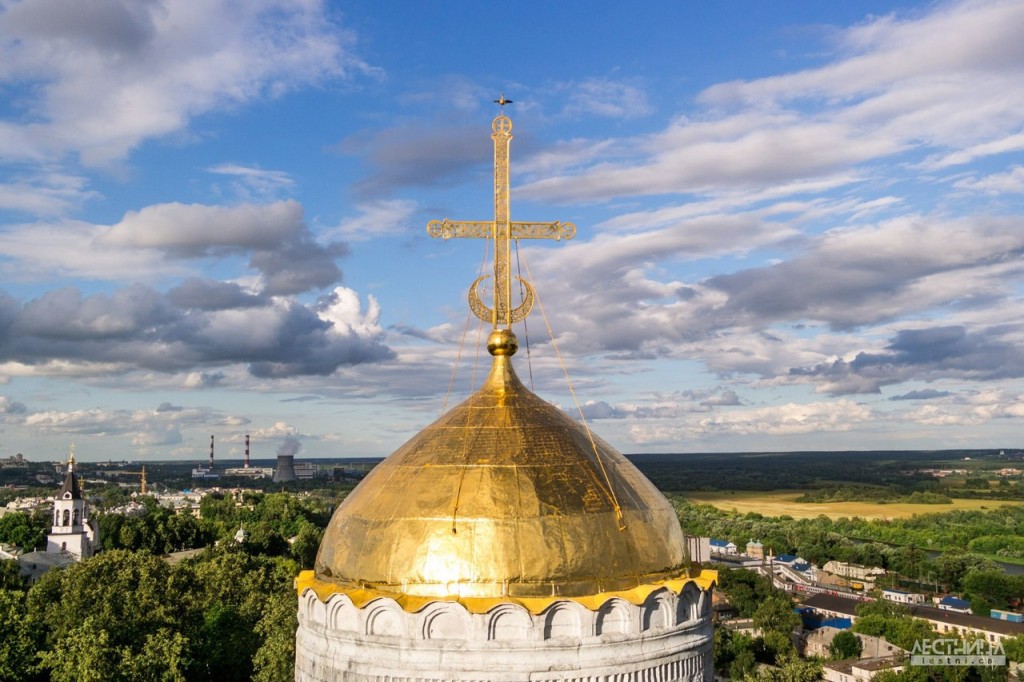 Птичка на вершине креста Дмитриевского собора 01