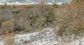 Снежный Владимир (9 октября)