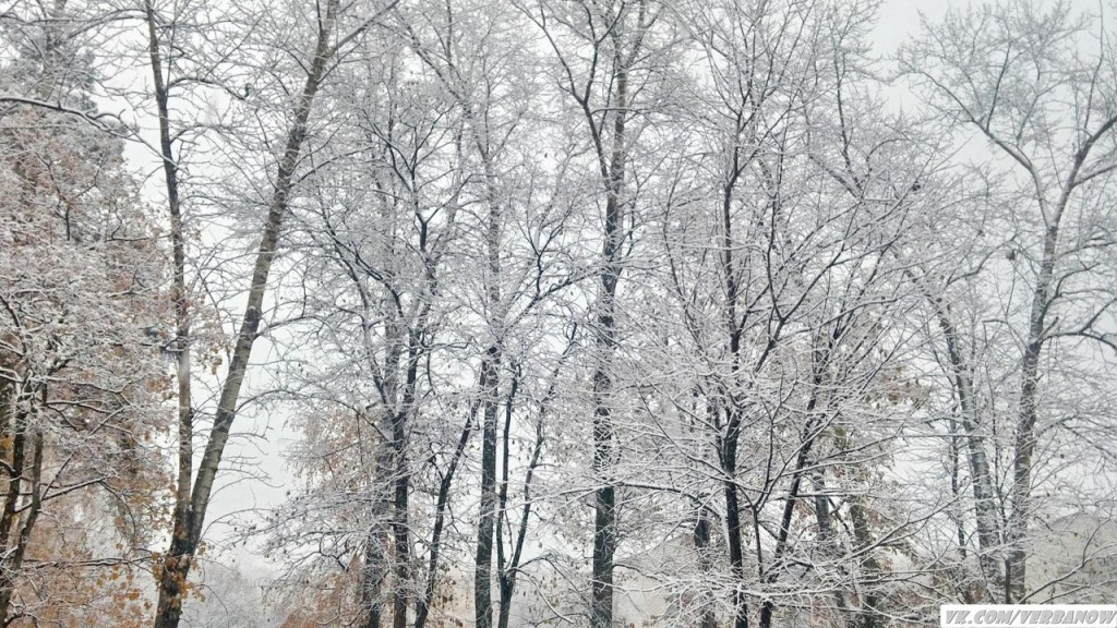 Снежок в теплый день на Вербовском 03