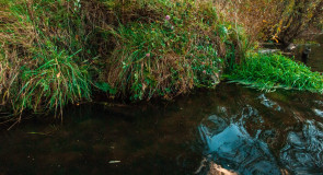 Фрагменты осеннего Владимира