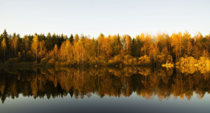 р. Има, Судогодский район