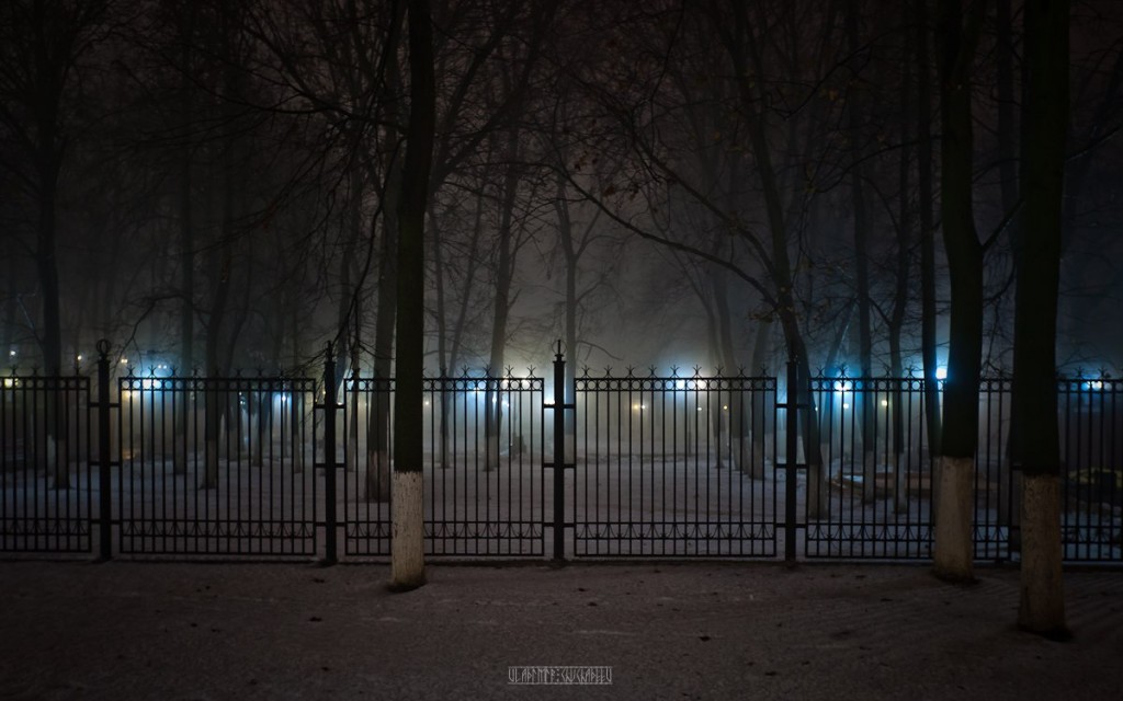2015_11_20 Туман во Владимире 17