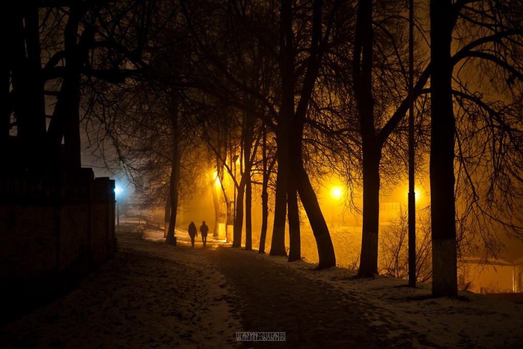 2015_11_20 Туман во Владимире 31