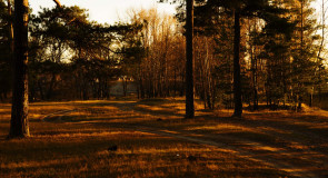 В осеннем лесу