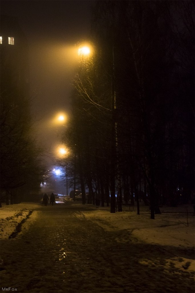 Владимир в тумане (20.11.2015) 04