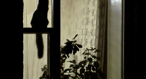 Всем доброго вечера