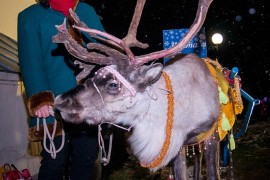 День Рождения Деда Мороза 2015 во Владимире