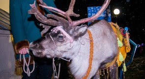 День Рождения Деда Мороза 2015 во Владимире