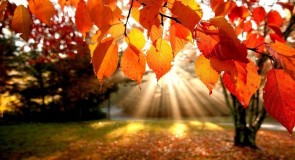 МИР В ОБЪЕКТИВЕ: Краски осени…