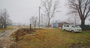 Пасмурный ноябрь во Владимирской деревне 2015