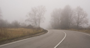 Область во власти тумана