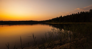 Озеро Широха (Меленковский район)